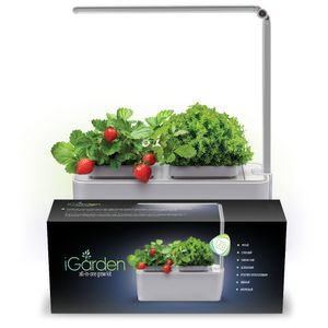 Умный сад для выращивания растений iGarden LED