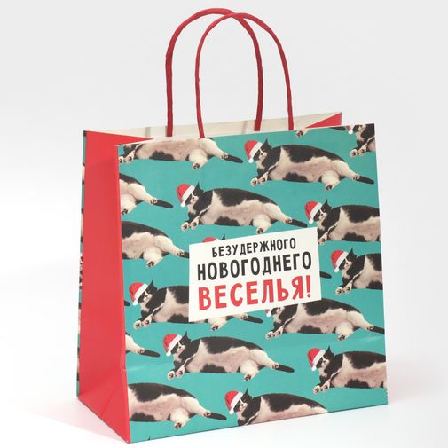 Подарочный пакет Веселье (22 х 22 х 11 см) Подарочный пакет Веселье (22 х 22 х 11 см)