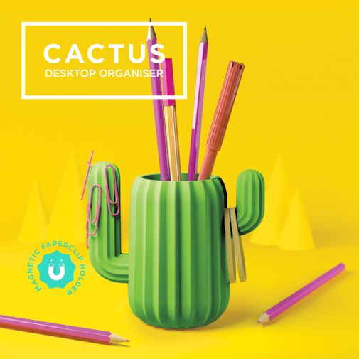Органайзер магнитный Кактус Cactus