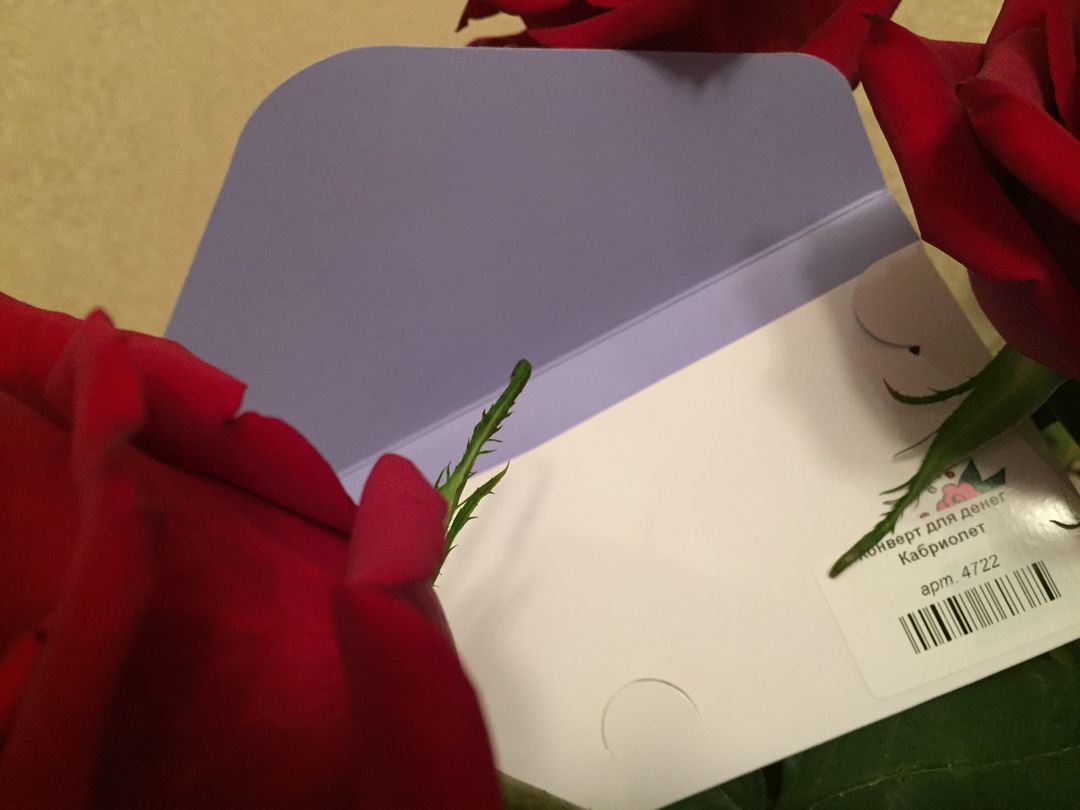 Фото покупателя Екатерина Фото покупателя Екатерина