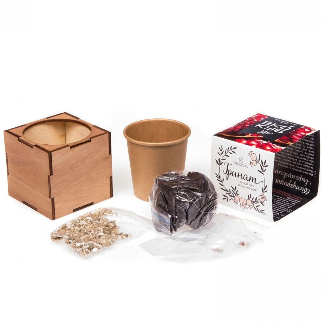 Набор для выращивания Гранат