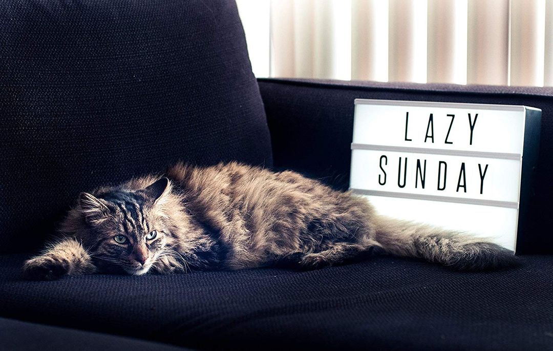 Лайтбокс со светящимися буквами Лайтбокс со светящимися буквами