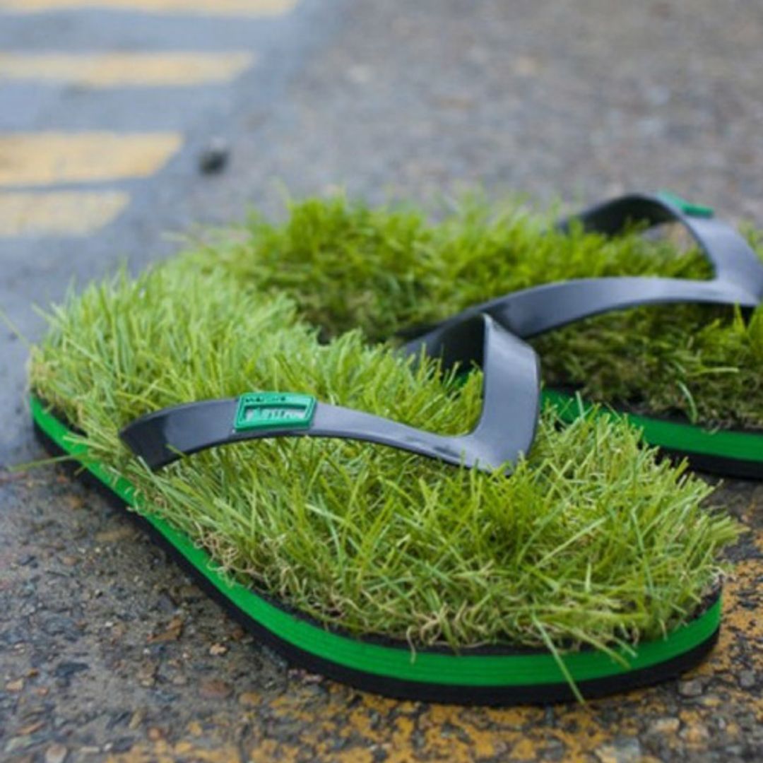 Травотапки