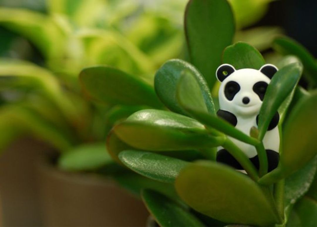 Флешка Панда Белая 4 Гб