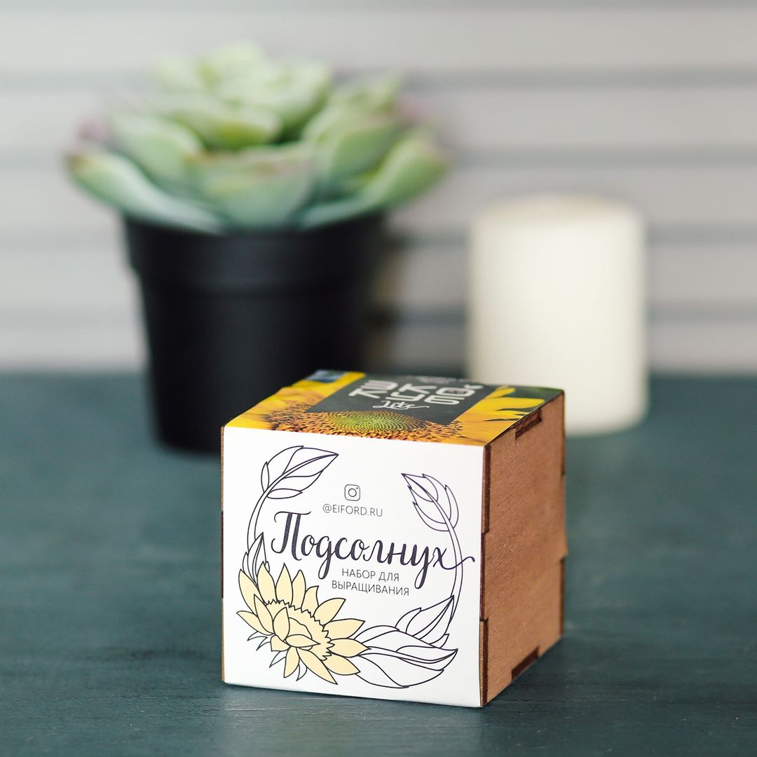 Набор для выращивания Подсолнух Набор для выращивания Подсолнух
