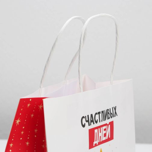 Подарочный пакет Счастливых дней (22 х 22 х 11 см)