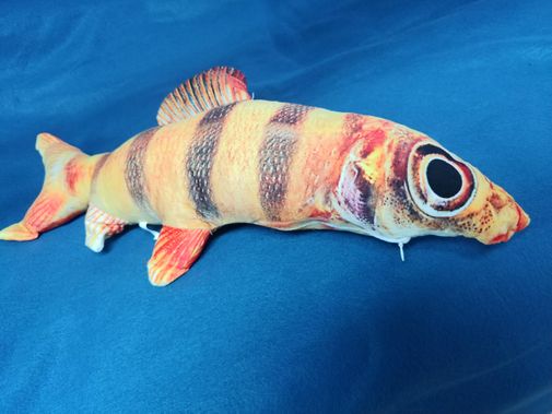 Фото покупателя Екатерина Фото покупателя Екатерина