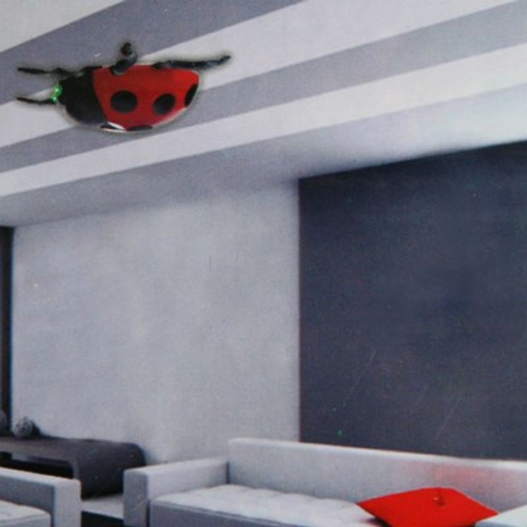 Антигравитационная игрушка Божья коровка Антигравитационная игрушка Божья коровка