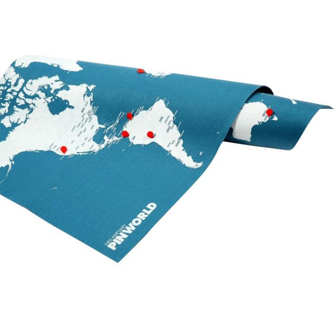 Карта мира Palomar Pin World