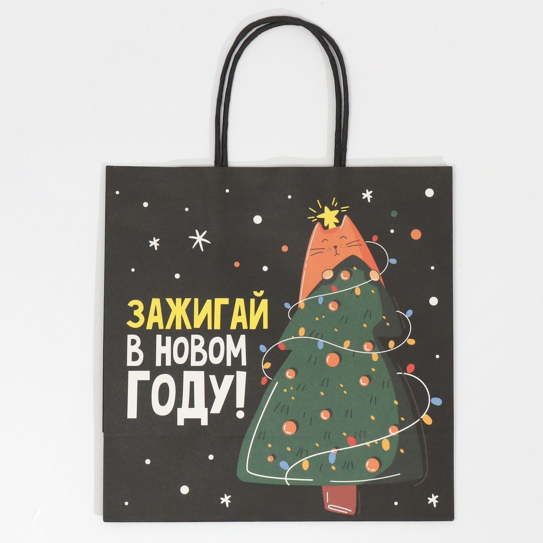 Подарочный пакет Зажигай (22 х 22 х 11 см)