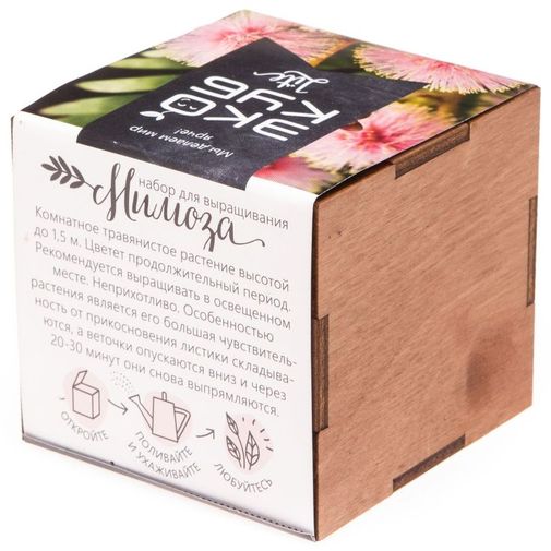 Набор для выращивания Мимоза