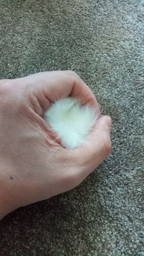 Фото покупателя Антон Фото покупателя Антон