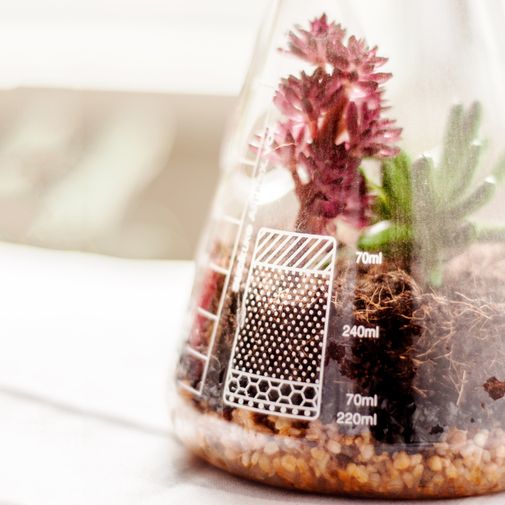 Настольный террариум для растений Chemistry Terrarium Kit