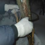 Карманная цепная пила Pocket ChainSaw Отзыв Карманная цепная пила Pocket ChainSaw Отзыв