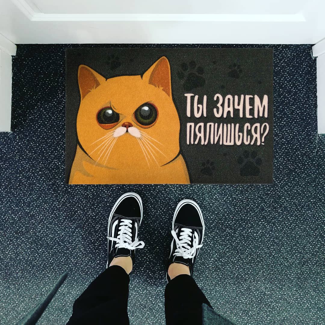 Коврик для входной двери Зачем пялишься?