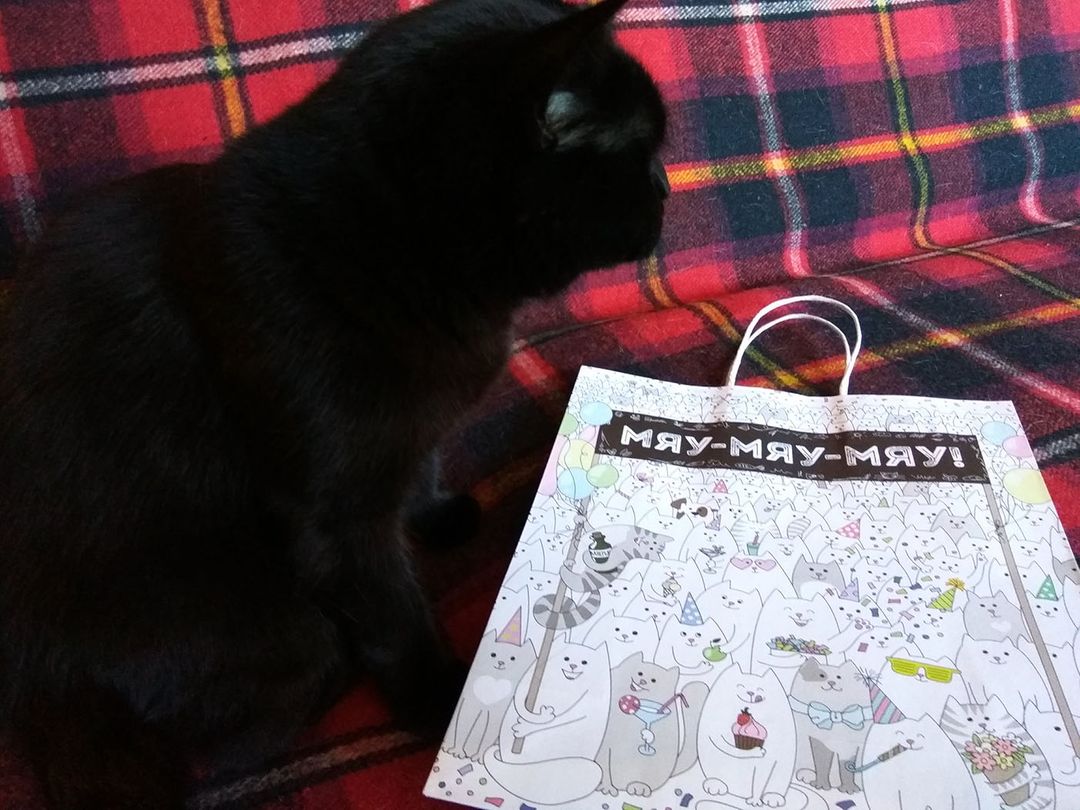 Фото покупателя Алена Фото покупателя Алена