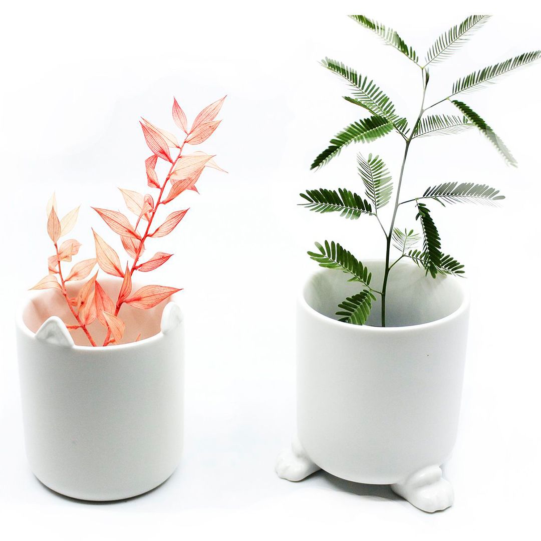 Набор горшочков Wander Pots Мяу