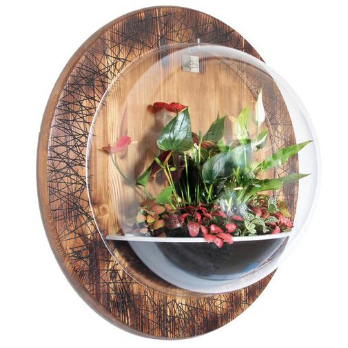 Настенный флорариум Flandriss Ignis Liberandum