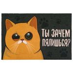 Коврик для входной двери Зачем пялишься?