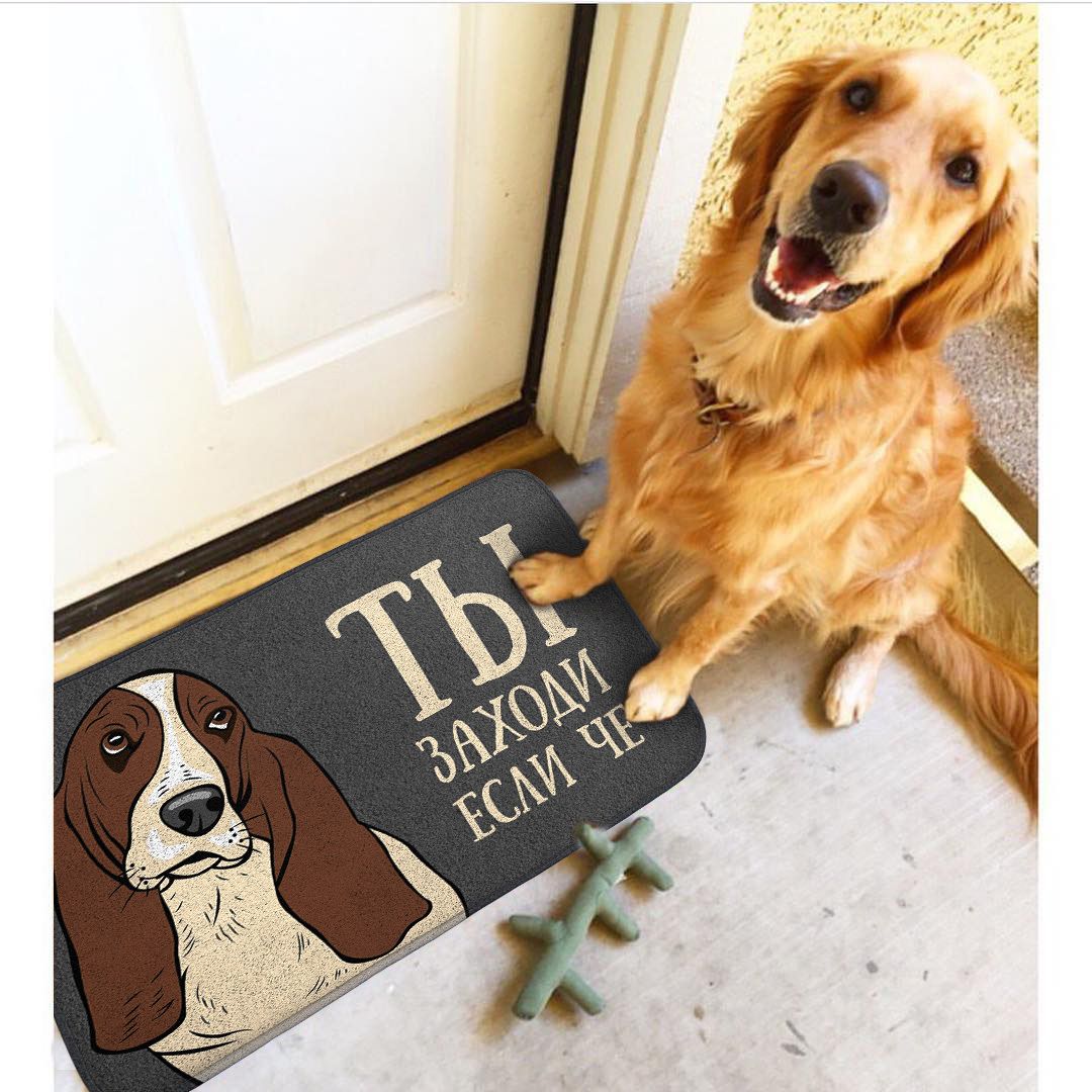 Коврик для входной двери Ты заходи если че! Коврик для входной двери Ты заходи если че!