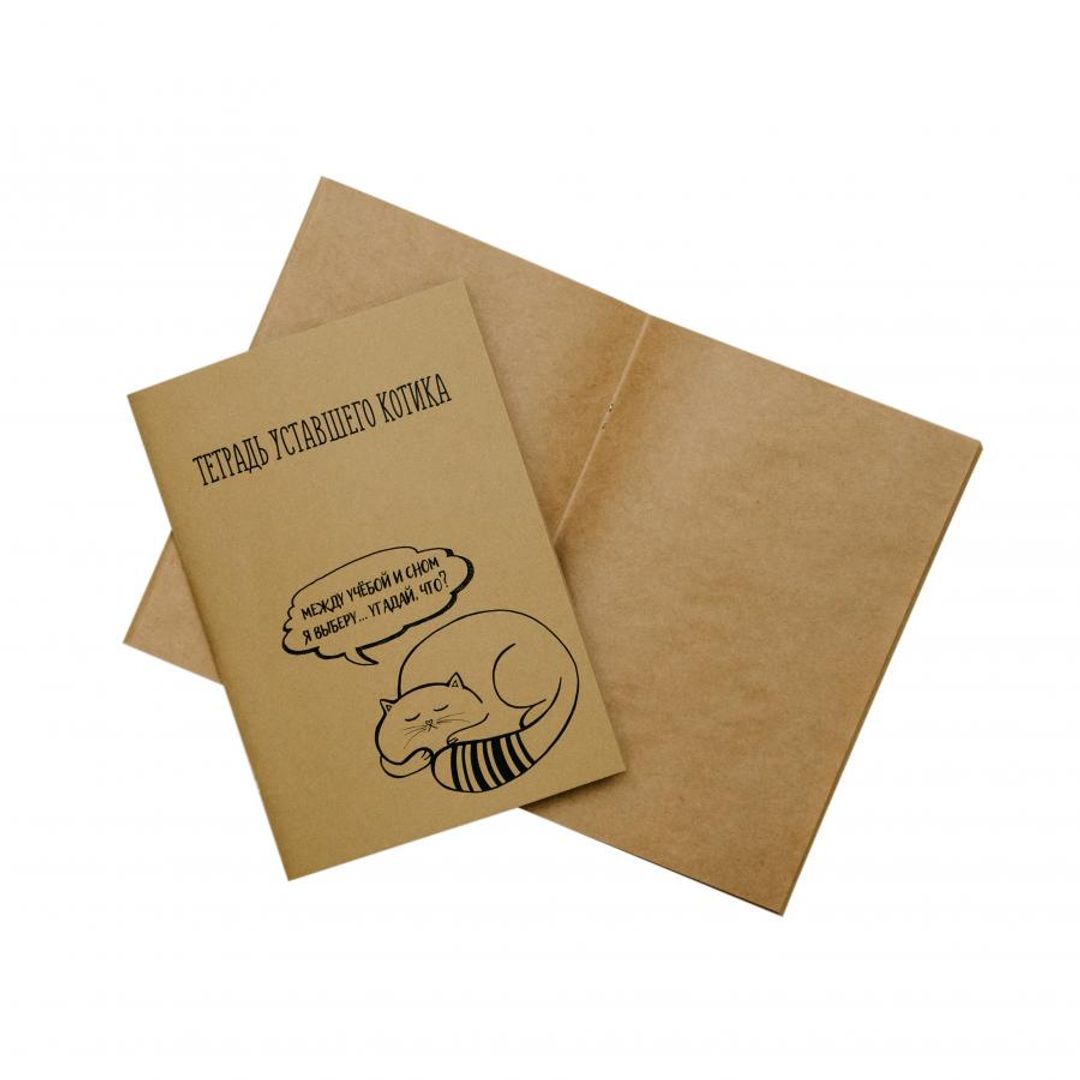 Тетрадь уставшего котика Выбор