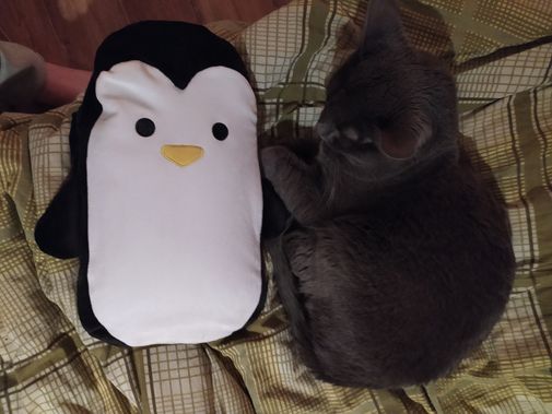  Фото покупателя Юлия