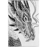 Плед Дракон Drago