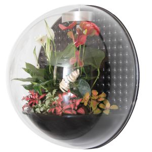 Настенный флорариум Flandriss Miniball Black 3D
