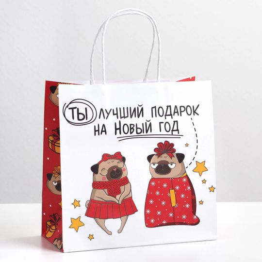 Подарочный пакет Ты - лучший подарок (22 х 22 х 11 см)