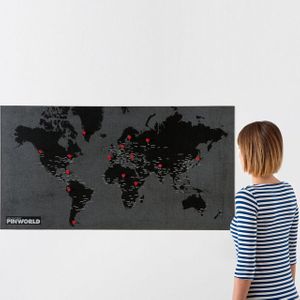 Карта мира Palomar Pin World