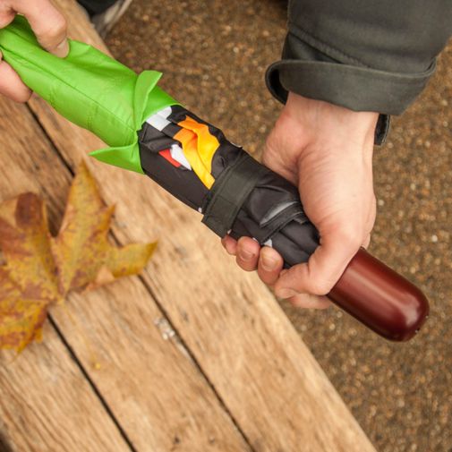 Бабочка выбирается из кокона. Первая стадия Бабочка выбирается из кокона. Первая стадия