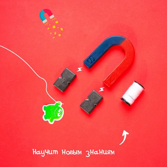 Набор для опытов Опыты с магнитами (8 опытов)