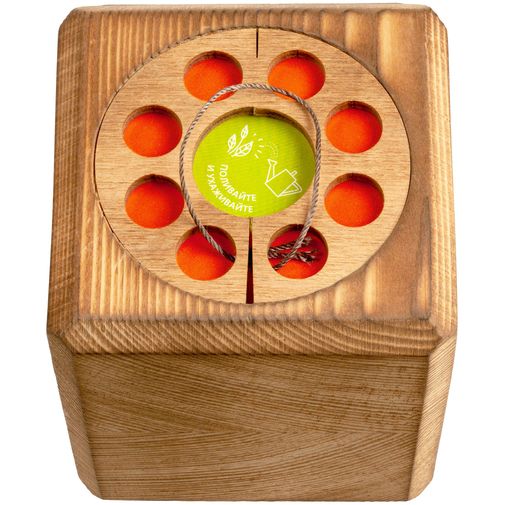 Набор для выращивания с органайзером Экокуб Burn (Сосна)