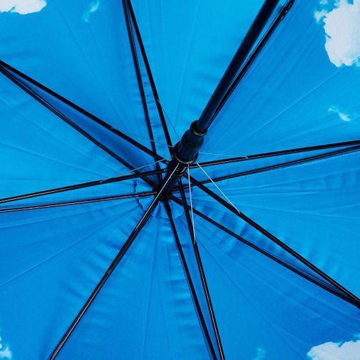Зонт Небо