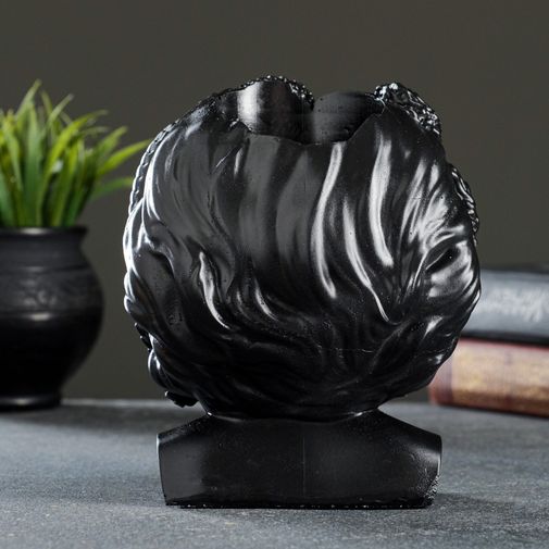 Органайзер Медуза Горгона