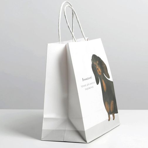 Подарочный пакет Пирожочек (22 х 22 х 11 см) Подарочный пакет Пирожочек (22 х 22 х 11 см)