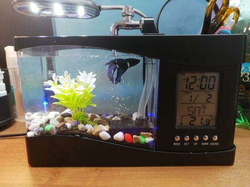  Фото покупателя Екатерина