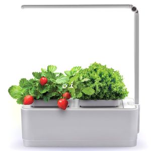 Умный сад для выращивания растений iGarden LED