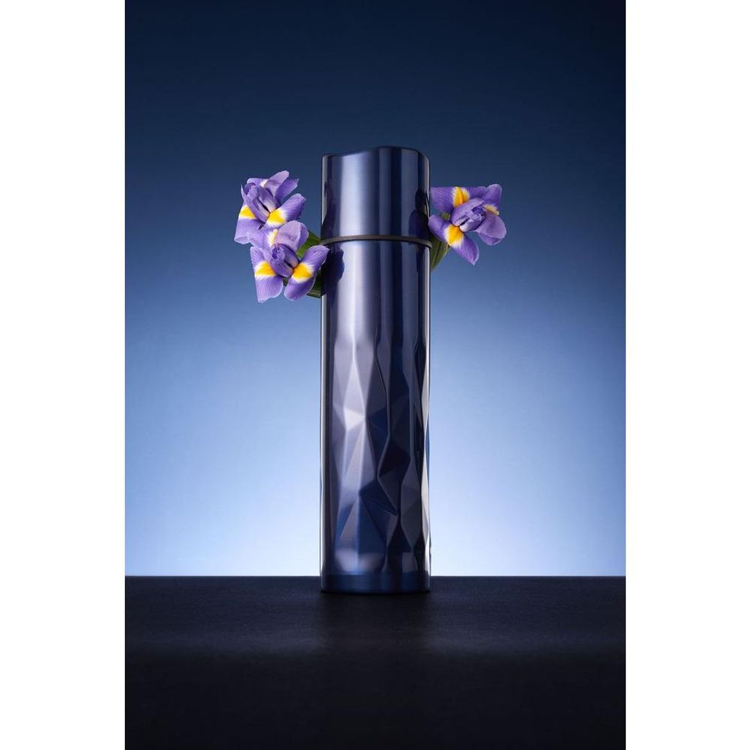 Термос Gems Black Sapphire сапфир Термос Gems Black Sapphire сапфир