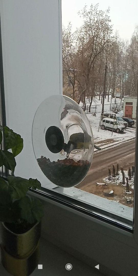 Фото покупателя Антонина