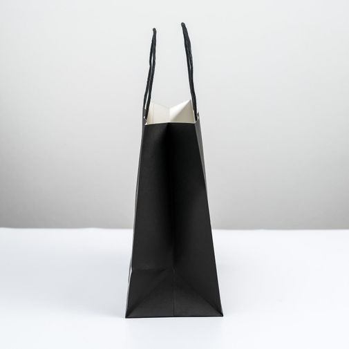 Подарочный пакет С днищем (22 × 22 × 11 см) Подарочный пакет С днищем (22 × 22 × 11 см)