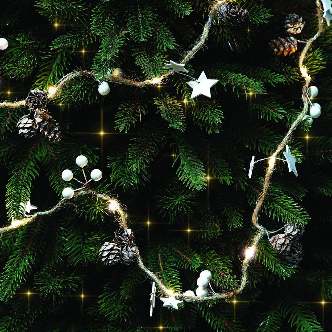 Светодиодная гирлянда Cones and Berries Светодиодная гирлянда Cones and Berries