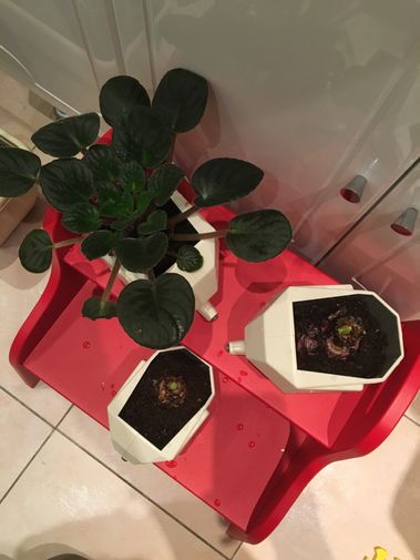 Фото покупателя Екатерина  Фото покупателя Екатерина