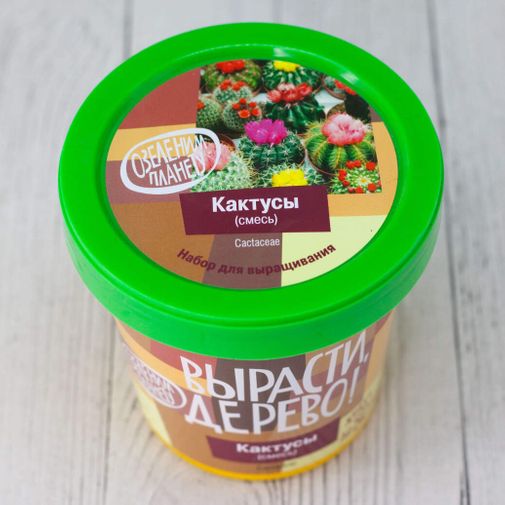 Набор для выращивания Кактусы Набор для выращивания Кактусы