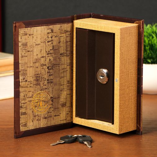 Книга Сейф Неприкосновенный запас Книга Сейф Неприкосновенный запас