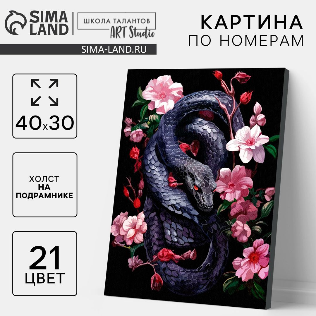 Картина по номерам Змея и цветы (30х40 см)