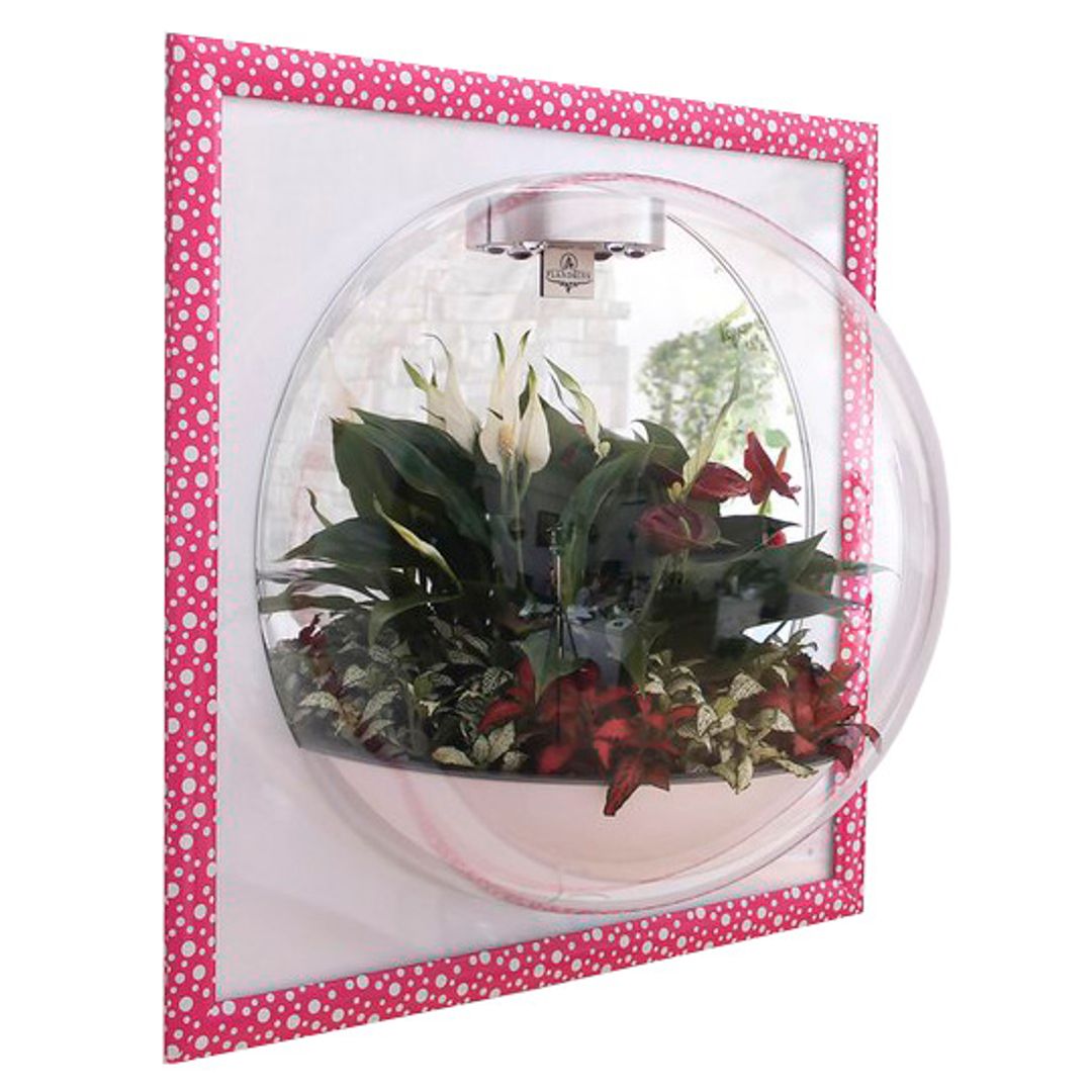 Настенный флорариум Flandriss Candy Настенный флорариум Flandriss Candy