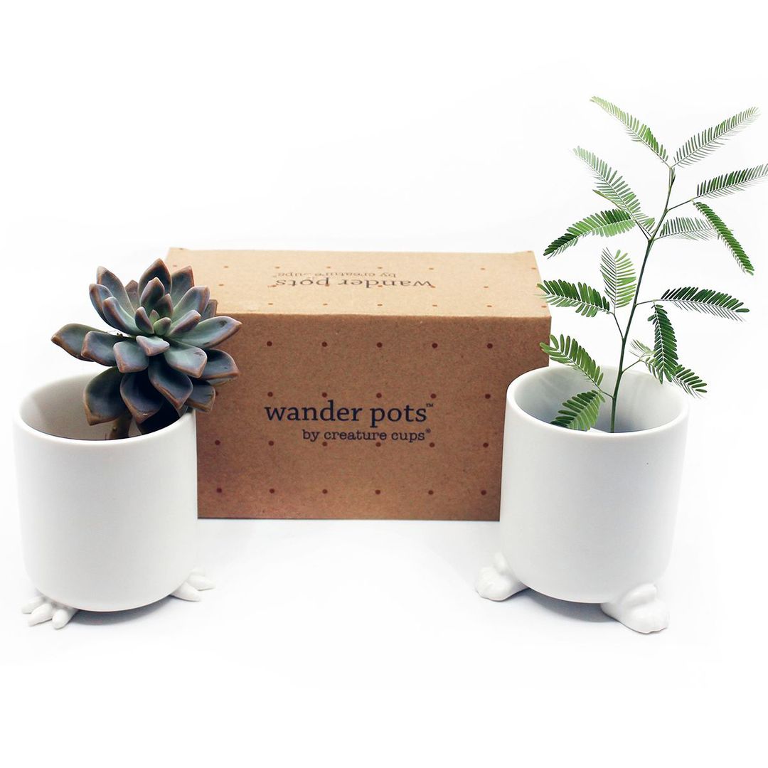 Набор горшочков Wander Pots Кочевник