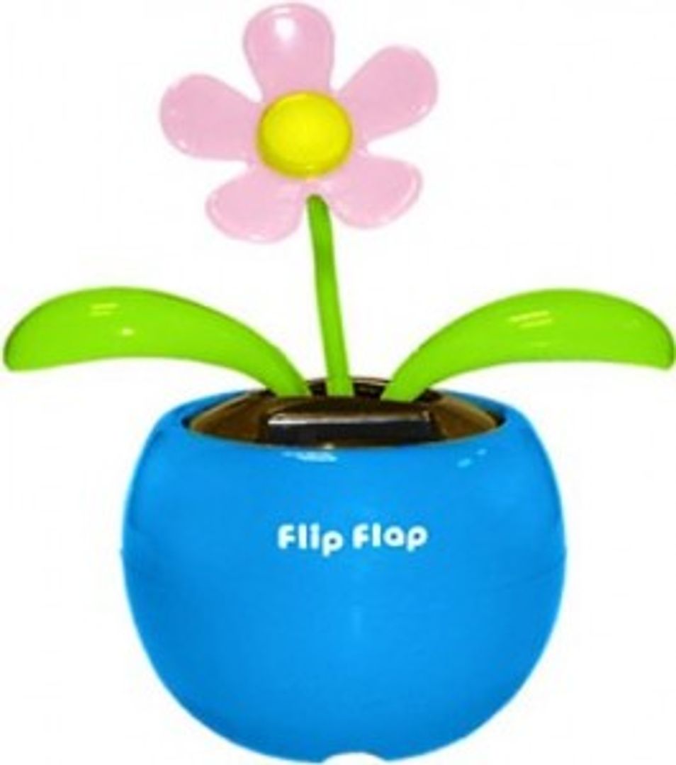 Цветок Flip Flap В Голубом горшочке
