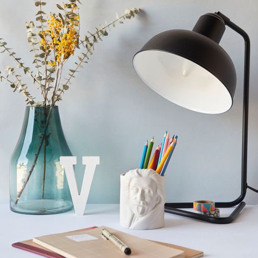 Настольный органайзер Эйнштейн Albert Einstein Настольный органайзер Эйнштейн Albert Einstein